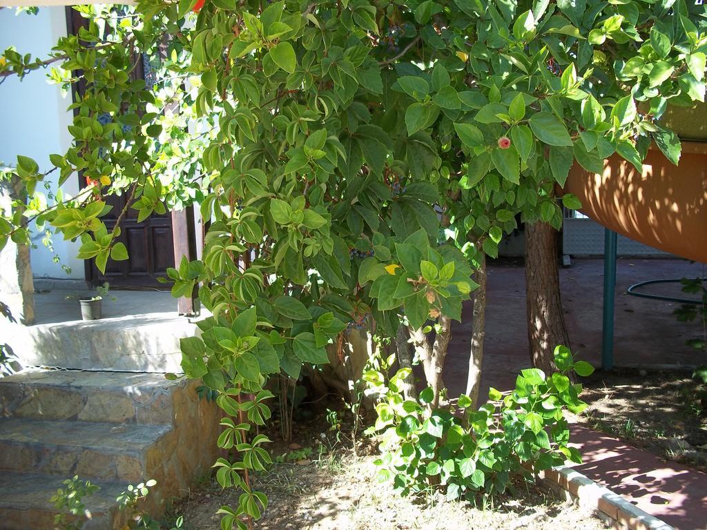 Erciyes Apart Hotel Fethiye Luaran gambar
